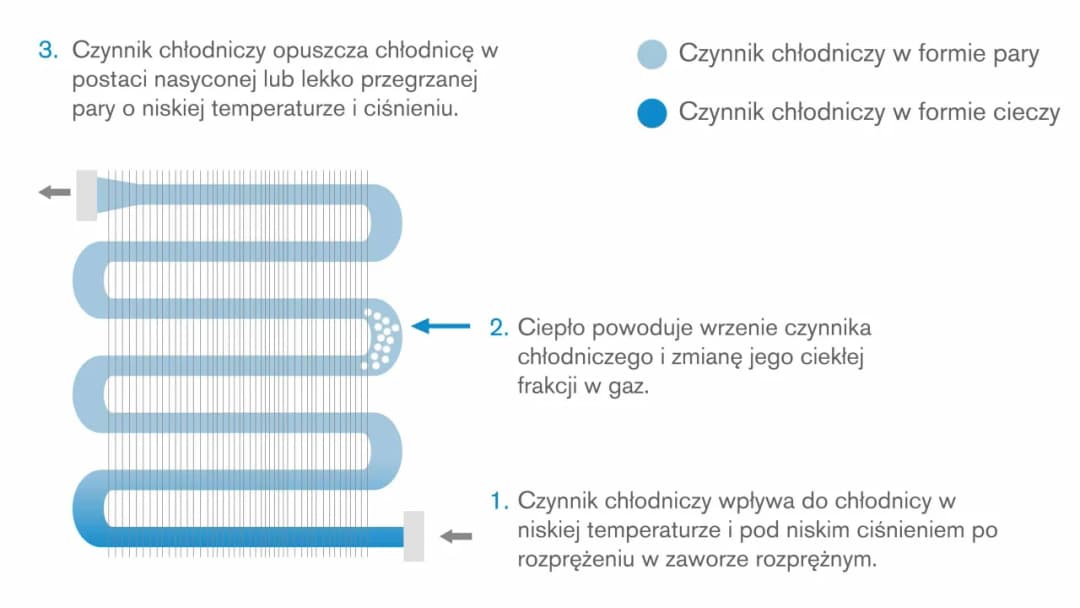 Parownik lodówki: zasada działania i najczęstsze problemy eksploatacyjne