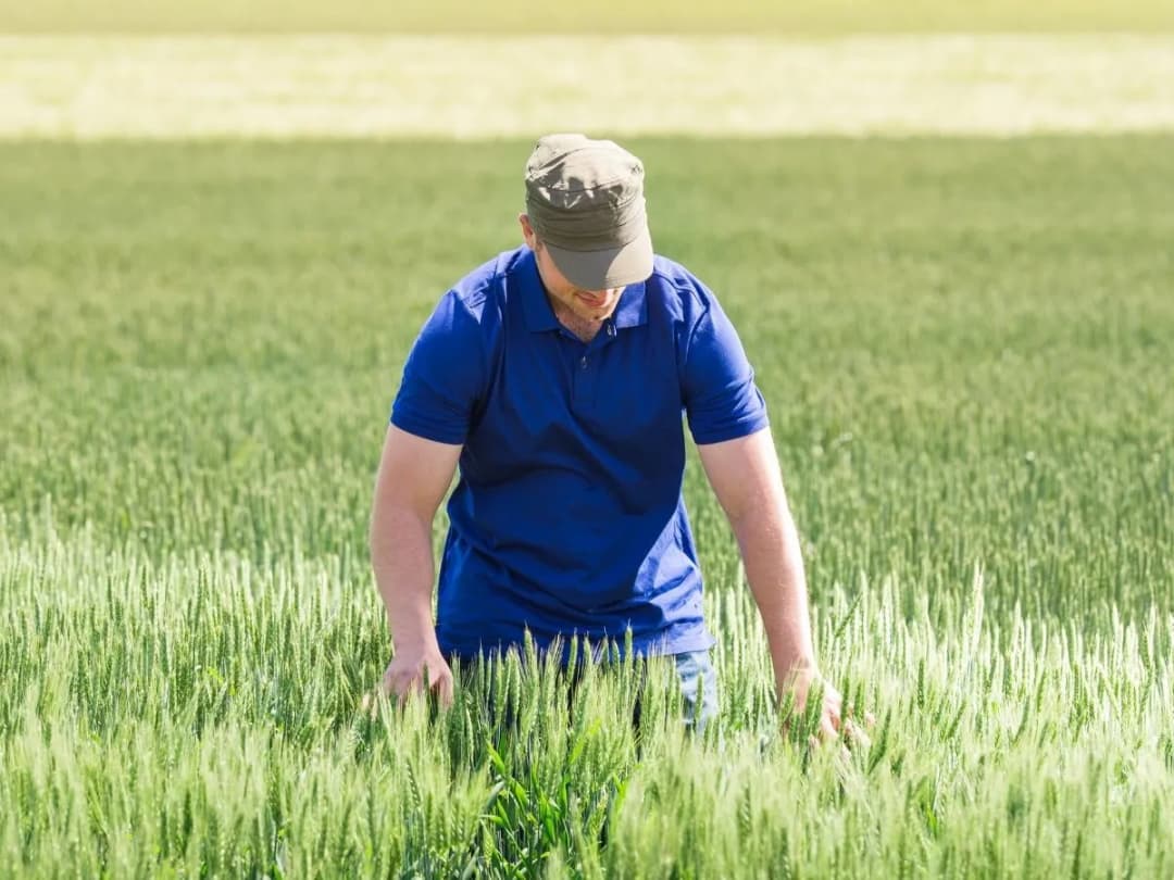 Młody rolnik wymagania: Kluczowe kryteria dofinansowania w rolnictwie