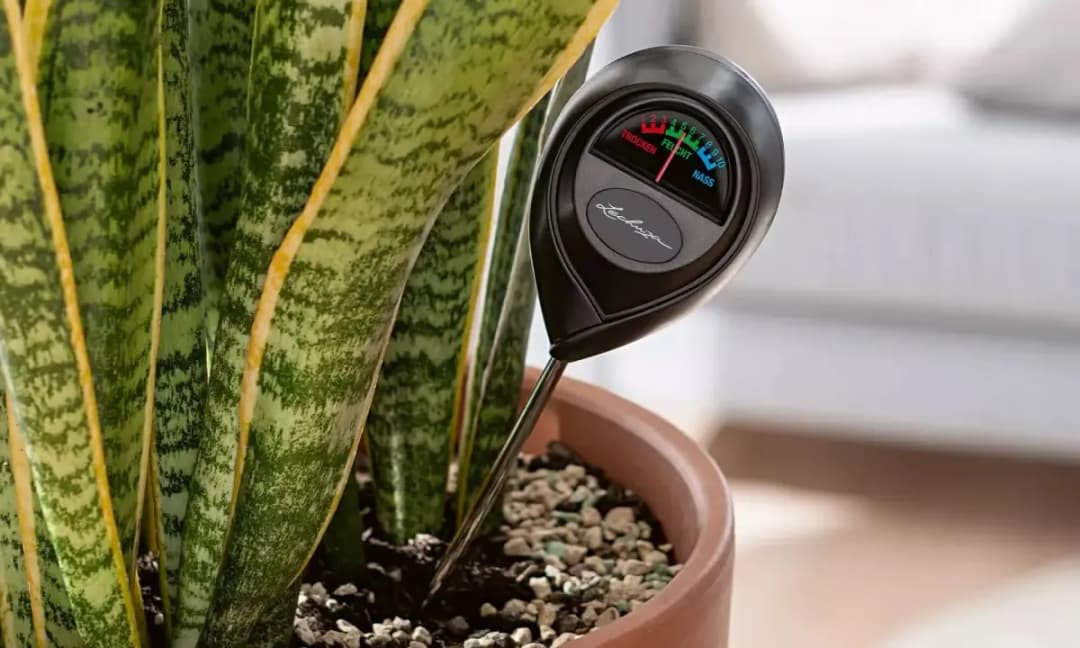 Dobry miernik wilgotności podłoża: jak wybrać najlepszy model do roślin