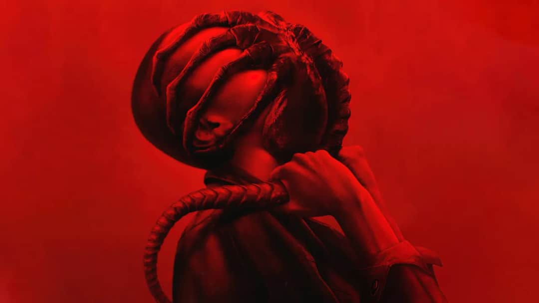 Jak oglądać filmy w języku obcym? Nauka przez rozrywkę